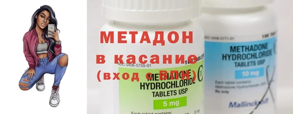 индика Сатка