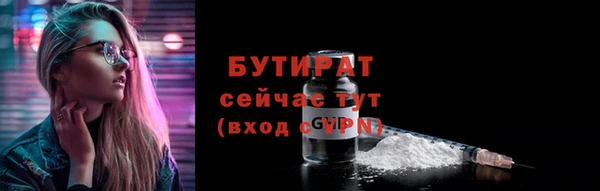 индика Сатка