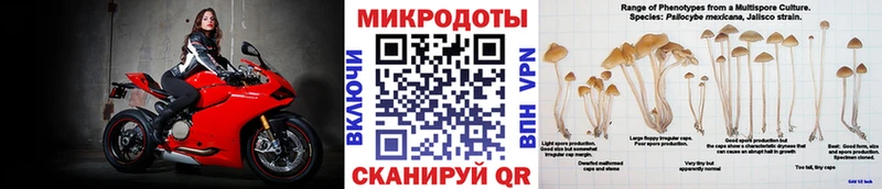 Псилоцибиновые грибы Cubensis  Покров 